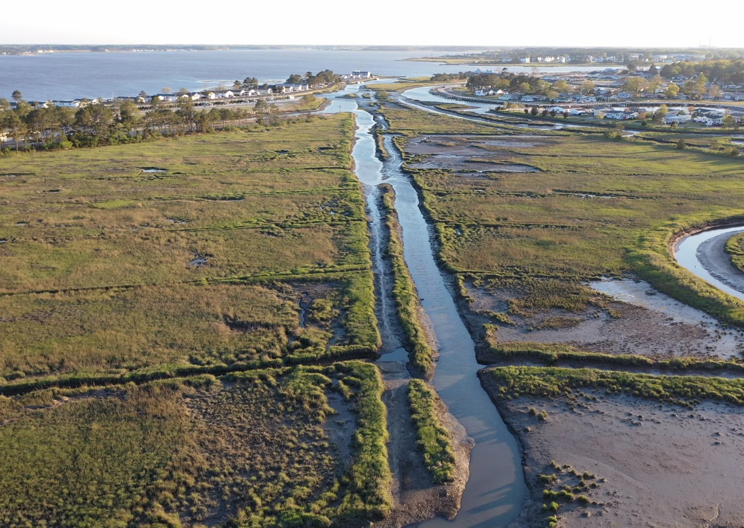 Wetland and hydric soil evaluations delaware soil scientist services sussex county